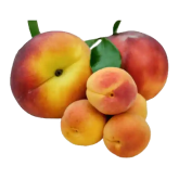 Exotic Fruits