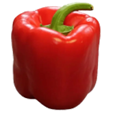 Fresh Vegetables