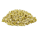 Salad items